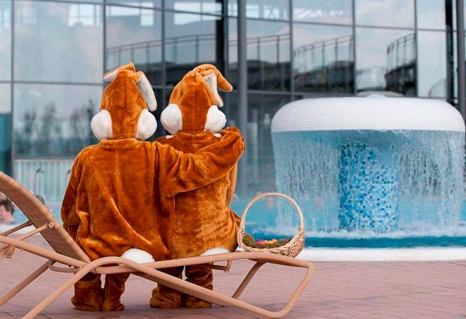 Kisssalis Osterhasen Beckenrand