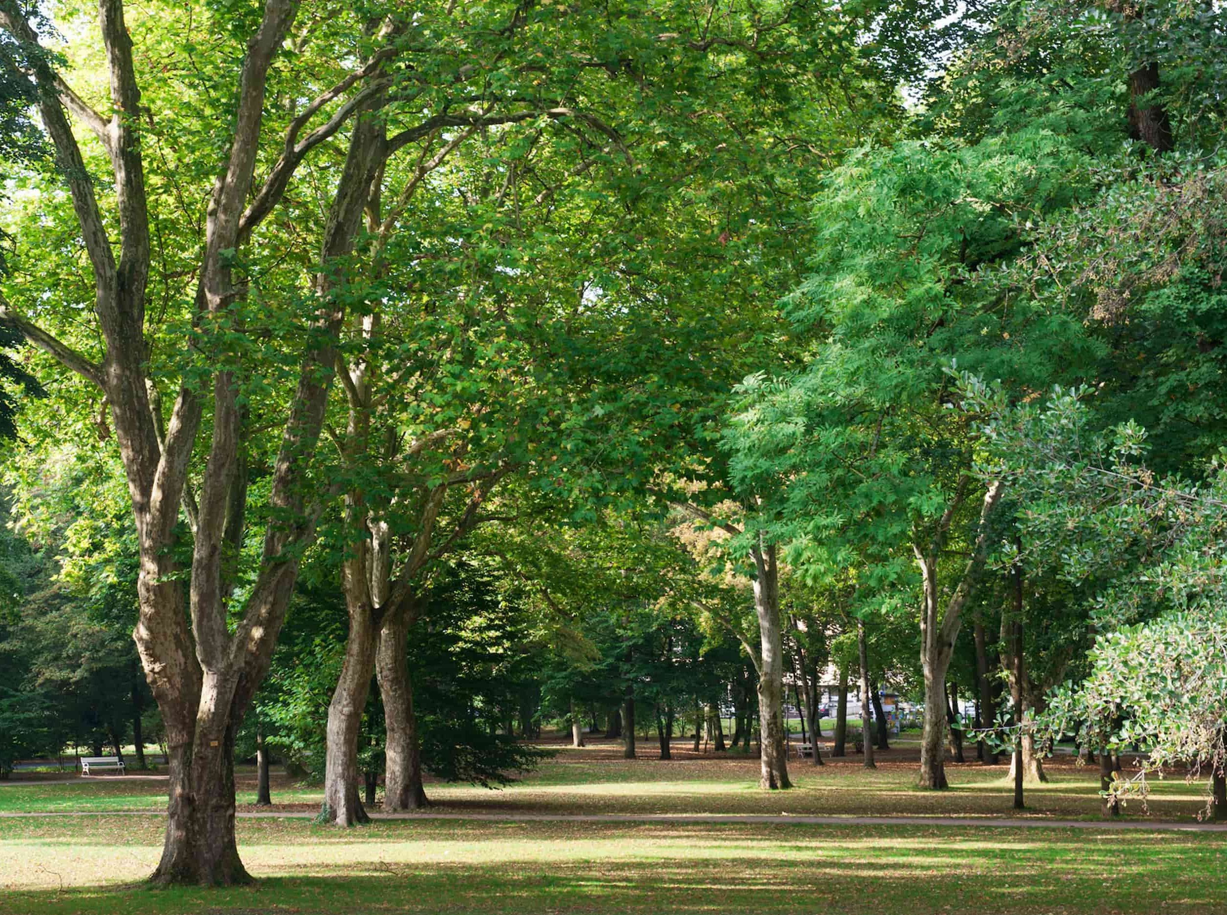 Kisssalis Bad Kissingen Entdecken Luitpoldpark