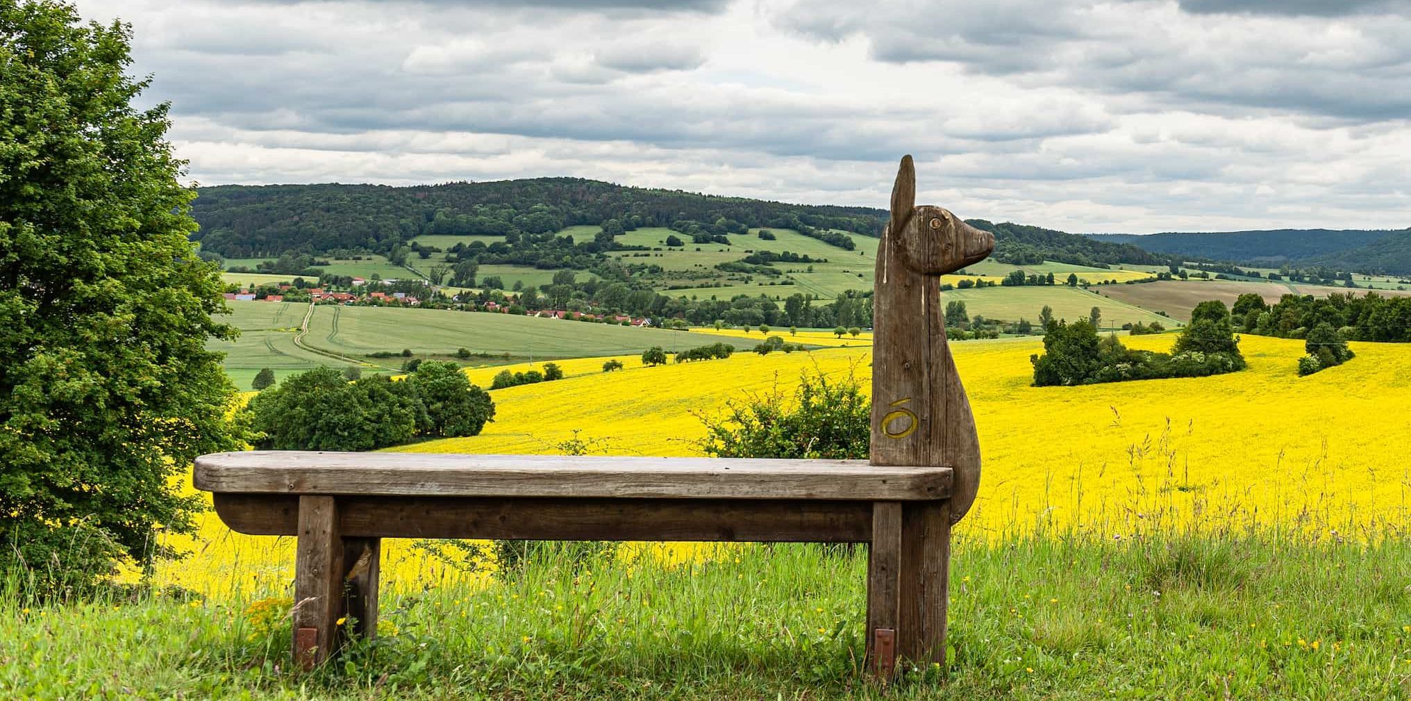 Kisssalis Bad Kissingen Entdecken Rhoen Aussicht