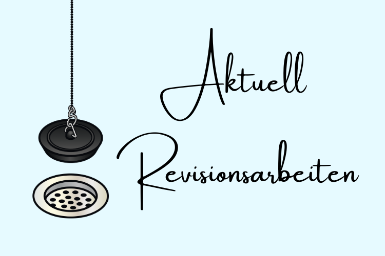 Kisssalis Revisionshinweis